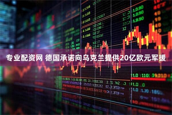 专业配资网 德国承诺向乌克兰提供20亿欧元军援